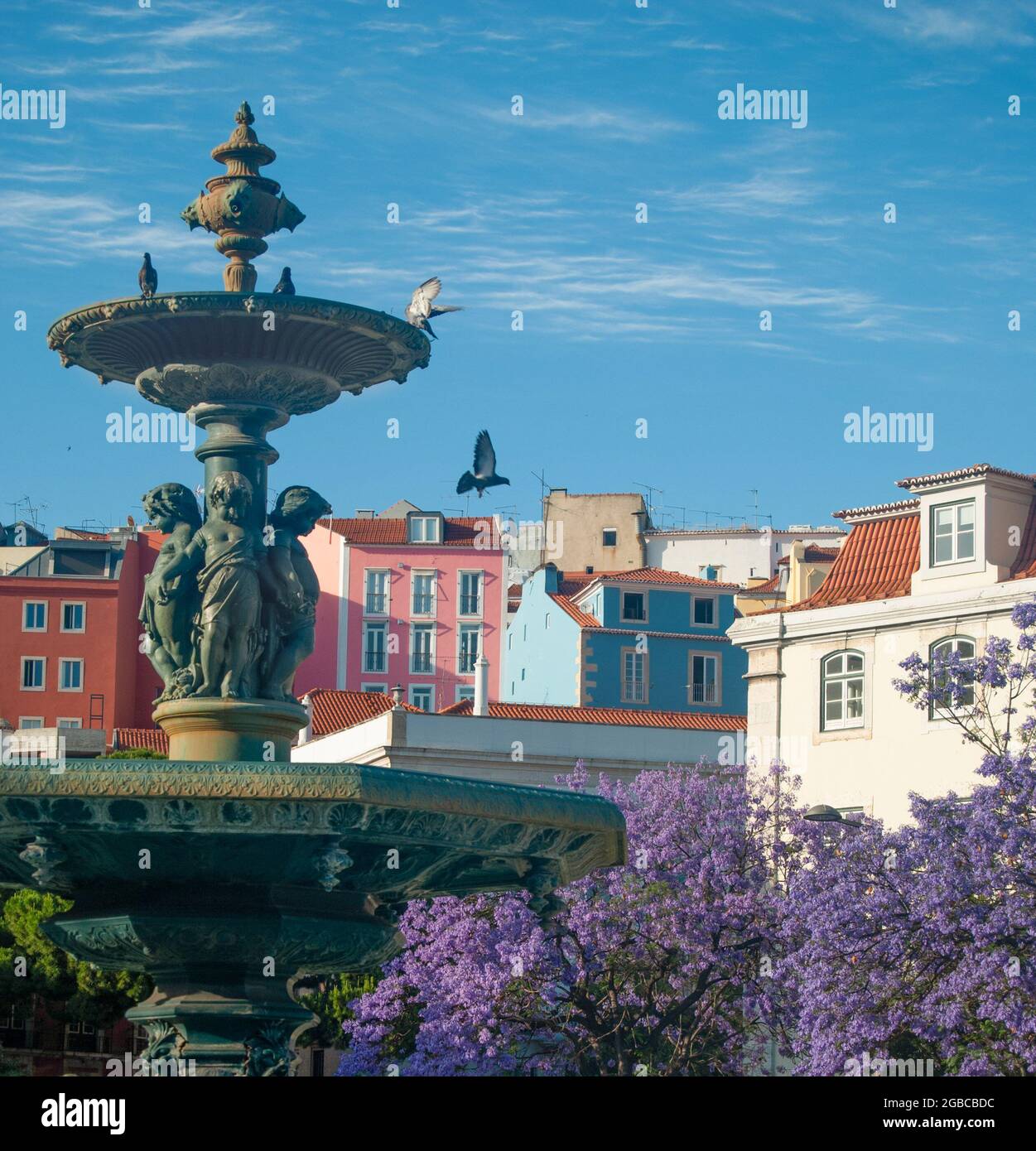 Jacaranda blüht in Lissabon Rosso-Platz Nordbrunnen, schöne Aussicht auf die bunten Häuser Stockfoto