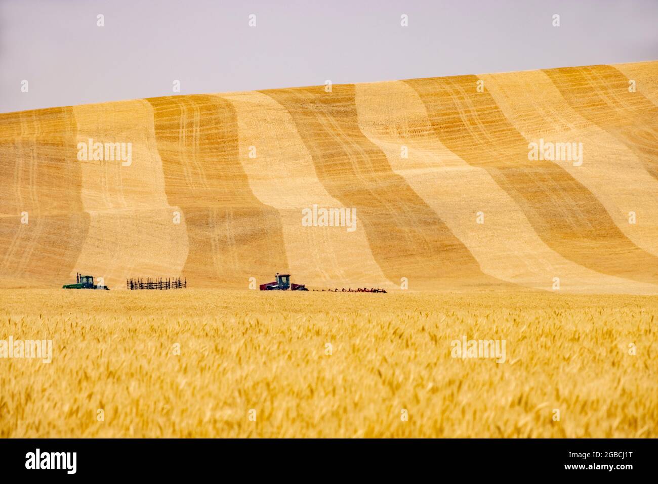 Fernansicht von Mähdreschern auf teilweise geernteten Feldern, in der Nähe von Pullman, Bundesstaat Washington, USA Stockfoto