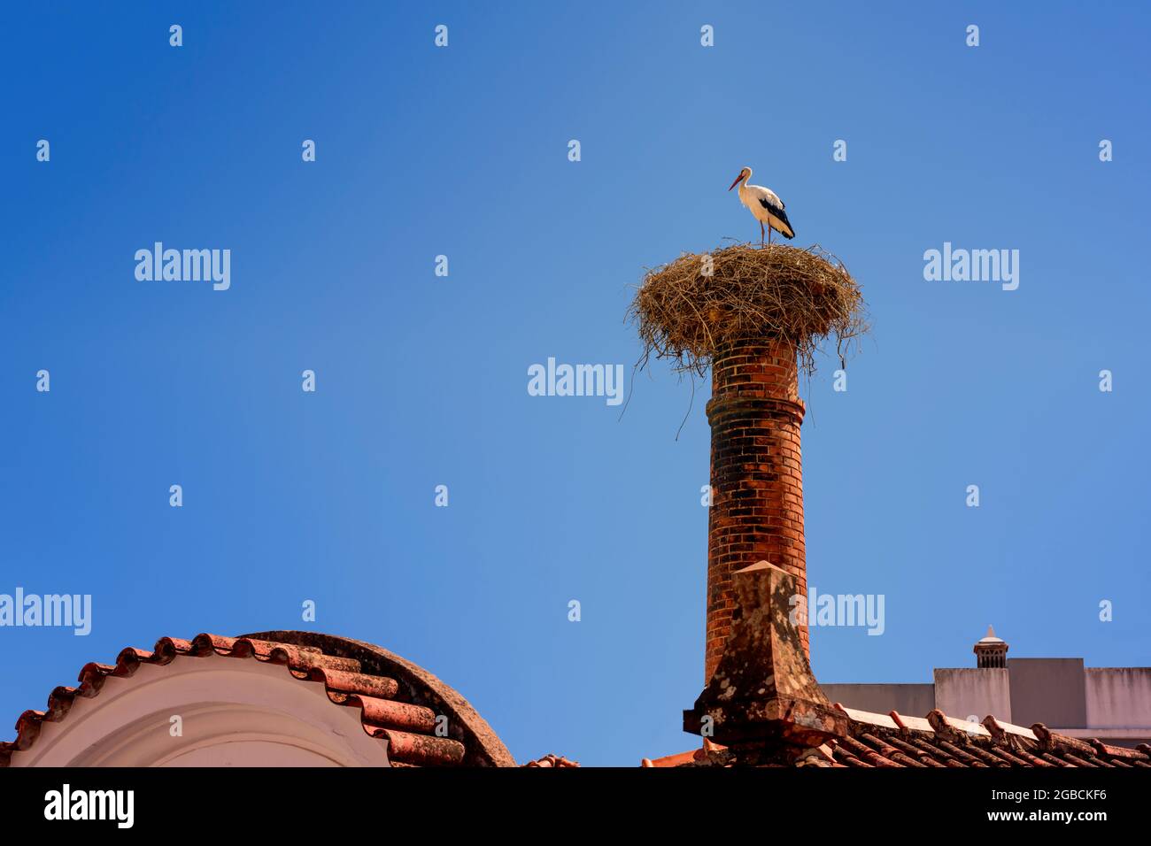 Europäische Weißstörche nisten Ciconia ciconia auf einem Schornstein mit einem Storch in Residenz gegen einen klaren blauen Himmel. Silves in der Algarve von Port Stockfoto