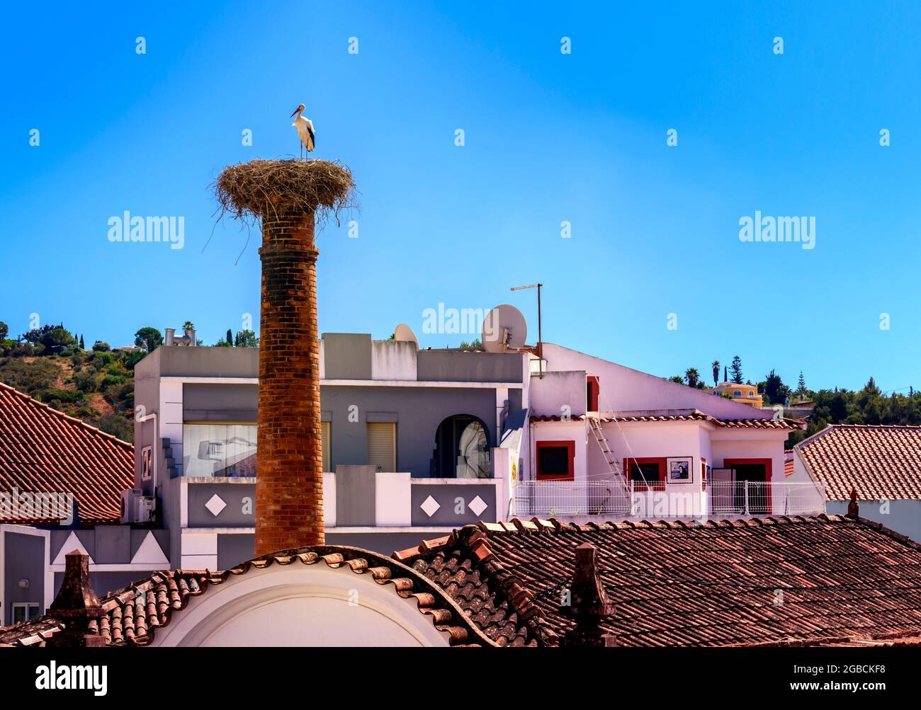 Europäische Weißstörche nisten Ciconia ciconia auf einem Schornstein ein Storch in Residenz gegen einen klaren blauen Himmel. Silves an der Algarve in Portugal Stockfoto