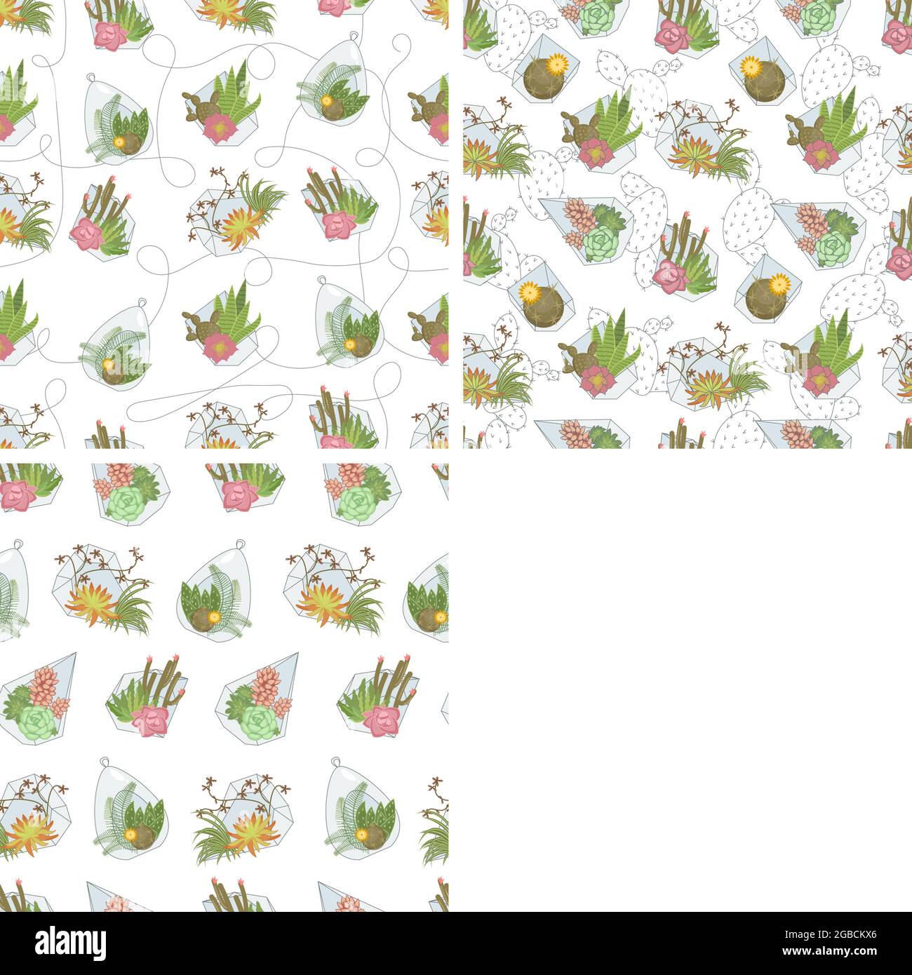 Nahtloses Muster mit Kaktushauspflanzen und Sukkulenten in Glastöpfen. Fenstergartenarbeit auf weißem Hintergrund. Flache Grafik Als Vektorgrafik Stock Vektor