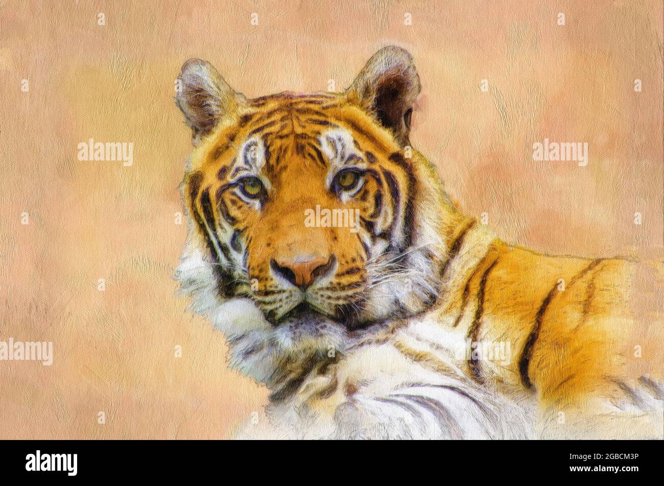 Nahaufnahme eines Tigers mit malerischer Wirkung und zusätzlicher Textur Stockfoto