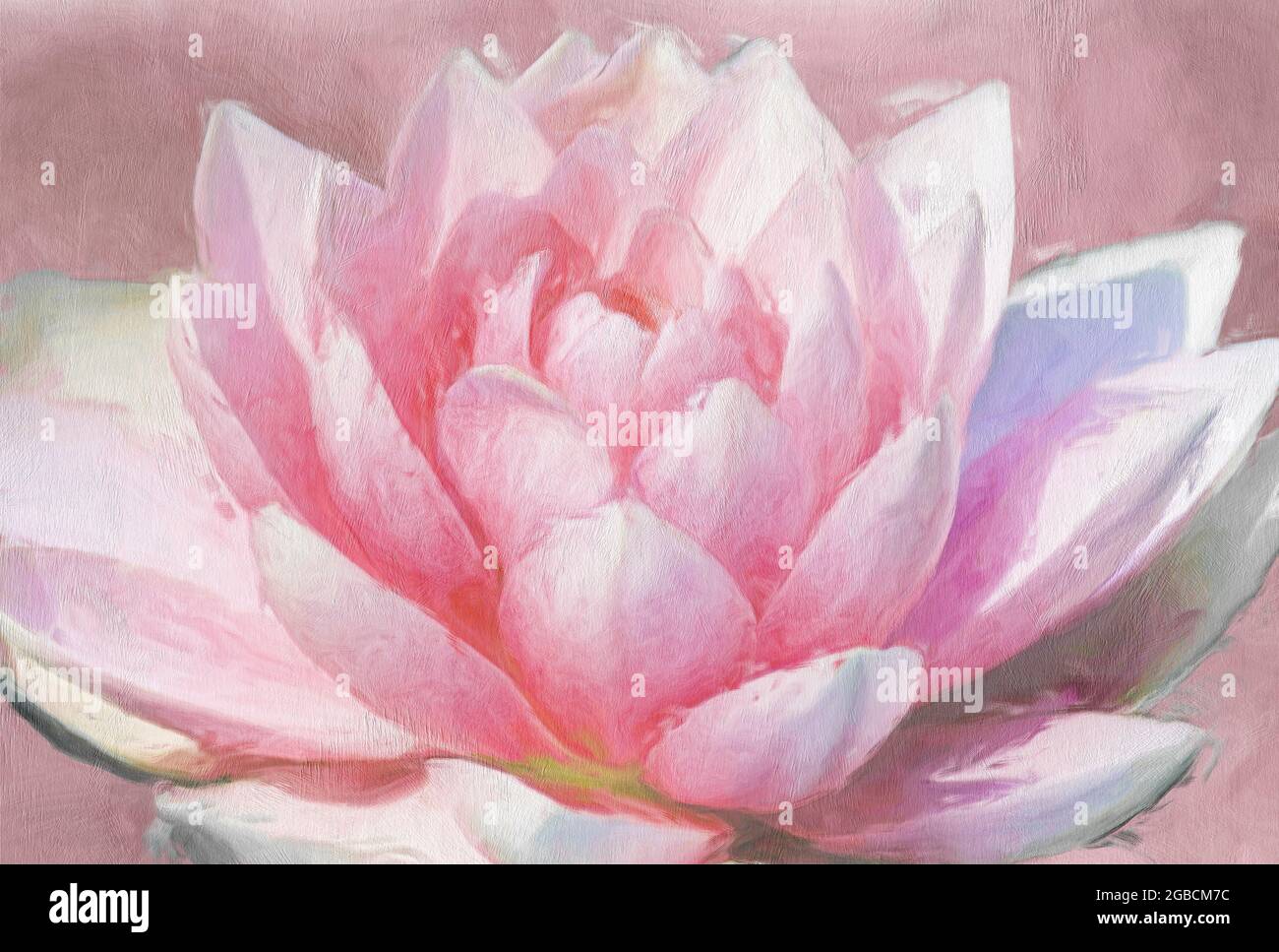 Nahaufnahme von rosa Seerose gegeben eine bemalte und strukturierte Erscheinung Stockfoto Nahaufnahme von rosa Seerose gegeben eine bemalte und strukturierte Erscheinung Stockfoto