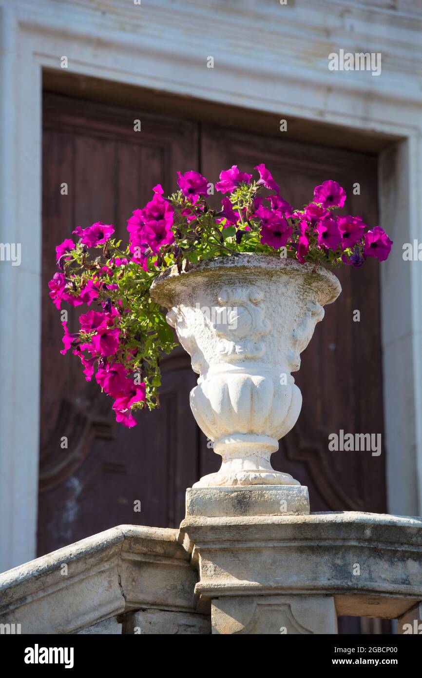 Taormina, Messina, Sizilien, Italien. Dekorative Urne gefüllt mit rosa Petunien auf der Terrasse der Kirche San Giuseppe, Piazza IX Aprile. Stockfoto