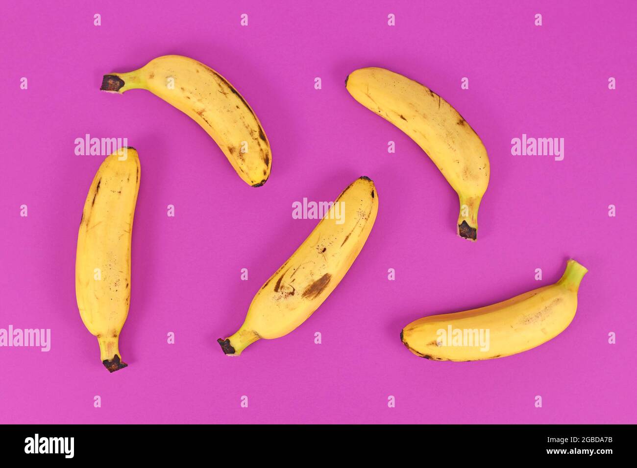 Kleine Snack-Bananen auf hellviolettem Hintergrund Stockfoto