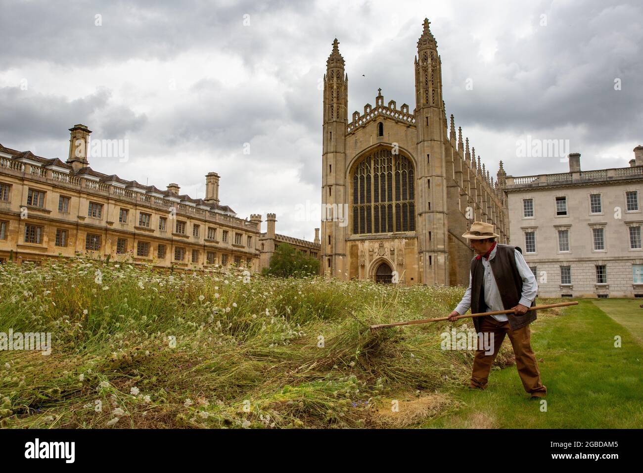 Das Bild vom 2. August zeigt Shire-Pferde beim Ernten der Wildblumenwiese am kingÕs College Cambridge am Montag. Die herrliche Wildblumenwiese am kingÕs College in Cambridge wurde heute (Mon) C traditionell mit Hilfe von zwei Shire-Pferden geerntet. Es sah aus wie eine Szene aus einem Gemälde von John Constable heute Morgen, als die beiden schweren Pferde halfen, die neue Wiese zu schneiden, die vor kurzem den berühmten gepflegten Rasen von collegeÕs ersetzte. Später in der Woche werden die Pferde das Heu auf einem traditionellen Wachmann wenden und karren, wobei die Ballen verwendet werden, um mehr Wildblumenwiesen über das zu schaffen Stockfoto