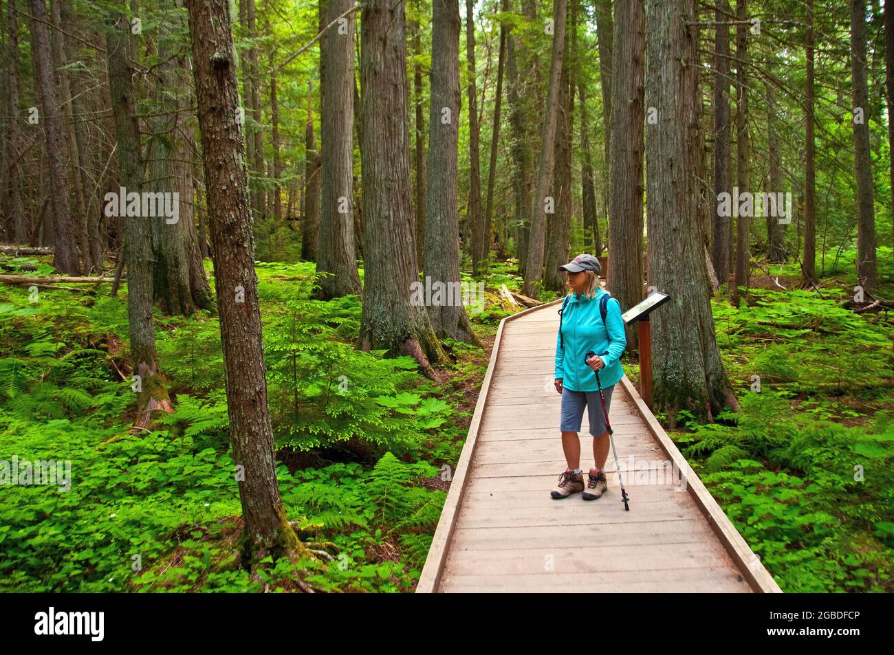Junge Frau, die auf dem Boardwalk-Abschnitt des Wanderweges zum Summit Lake, Glacier National Park, Montana, unterwegs ist Stockfoto