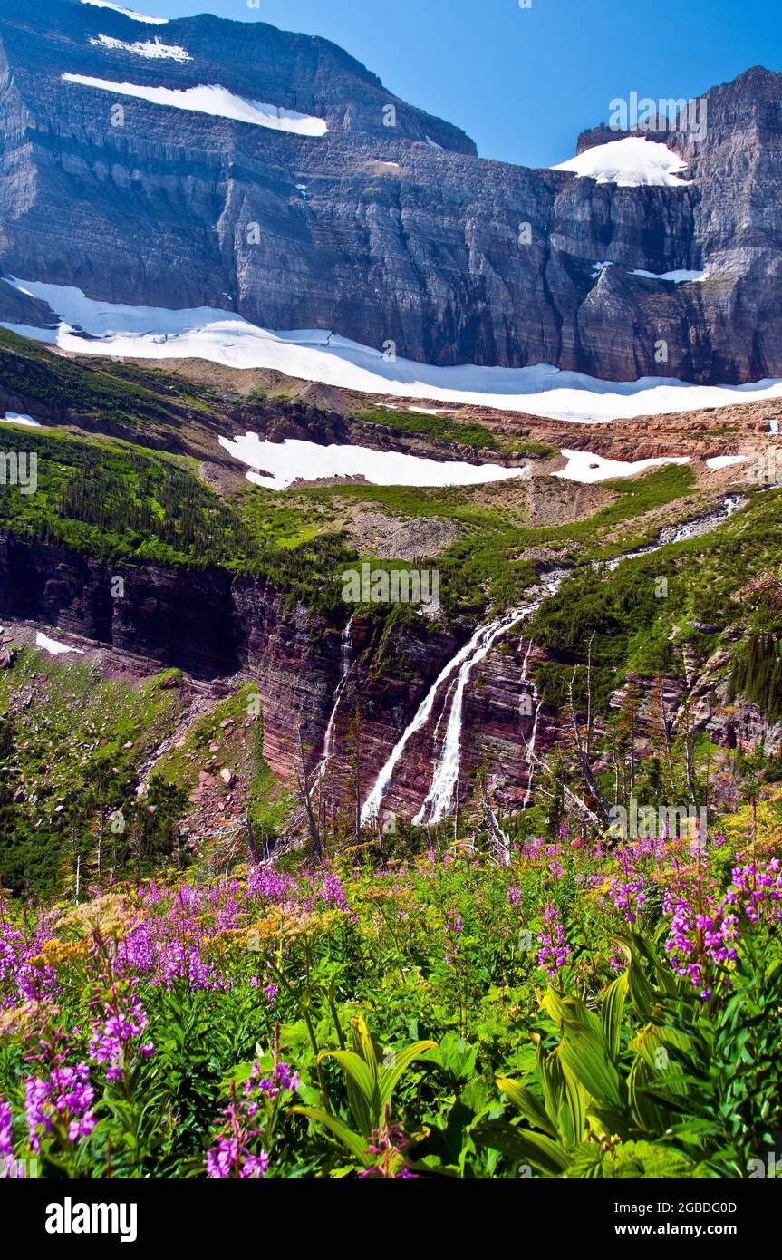 Draußen, Naturgeschichte, Outback, Outdoor, Wildnis, Wasserfall an der Gartenmauer unterhalb des Grinell Glacier, Many Glacier, Glacier National Park, Montana Stockfoto
