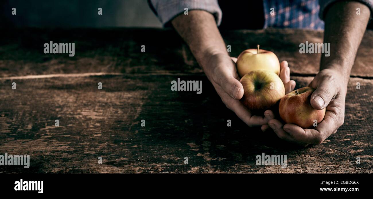 Hoher Winkel der Ernte anonymen männlichen Landwirt mit reifen frischen Äpfeln an alten Holztisch in rustikaler Küche Stockfoto