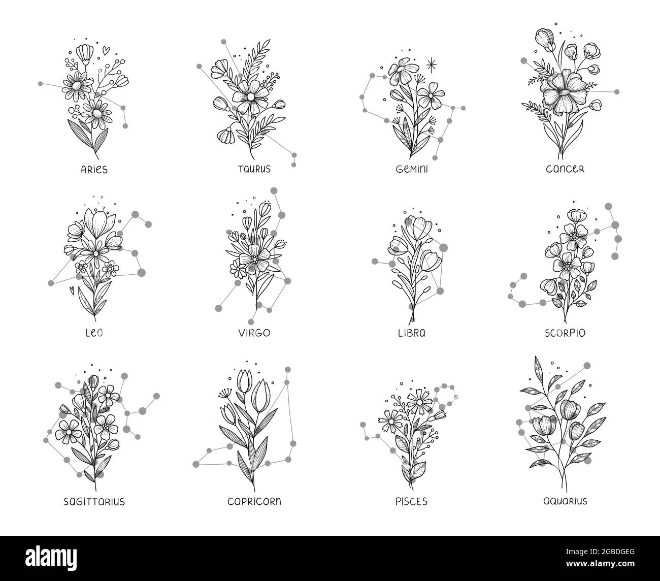What is the cancer zodiac flower