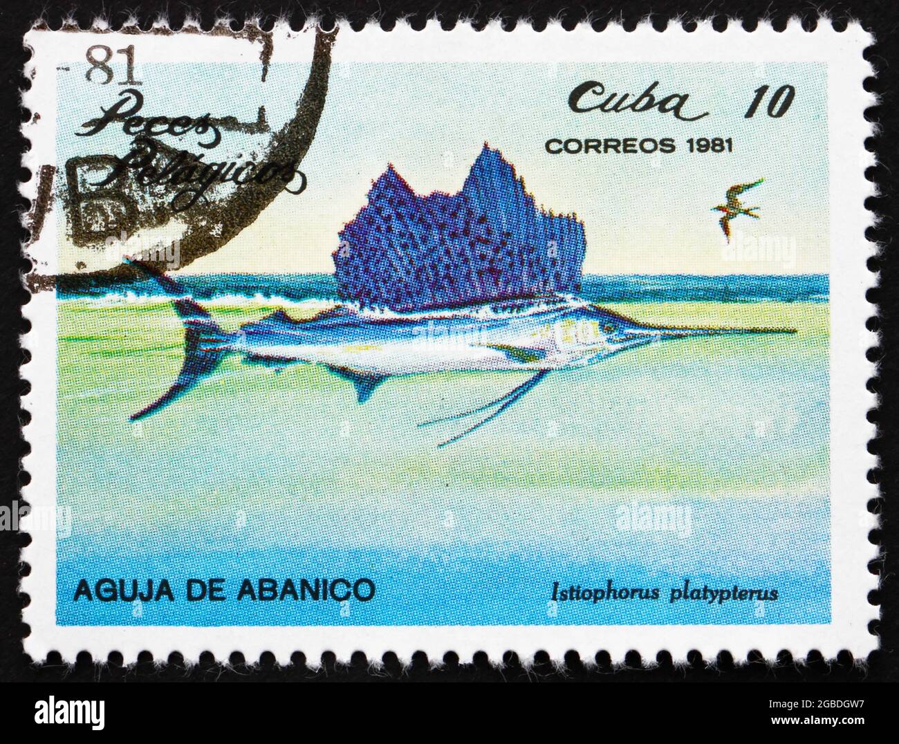 KUBA - UM 1981: Eine auf Kuba gedruckte Marke zeigt Indo-Pazifische Seegarnfische, Istiophorus Platypterus, Pelagische Fische, um 1981 Stockfoto