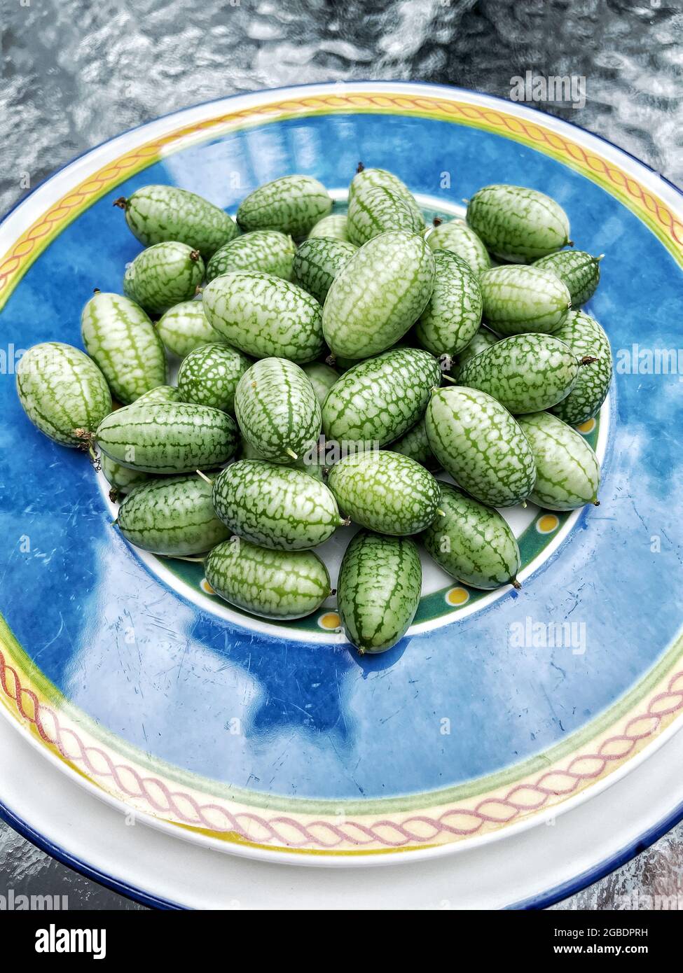 Cucamelon oder mexikanische Sour Gherkin Gurken frisch gepflückt. Diese sind Traubengröße, saure Gurken, sehr einzigartig. Stockfoto