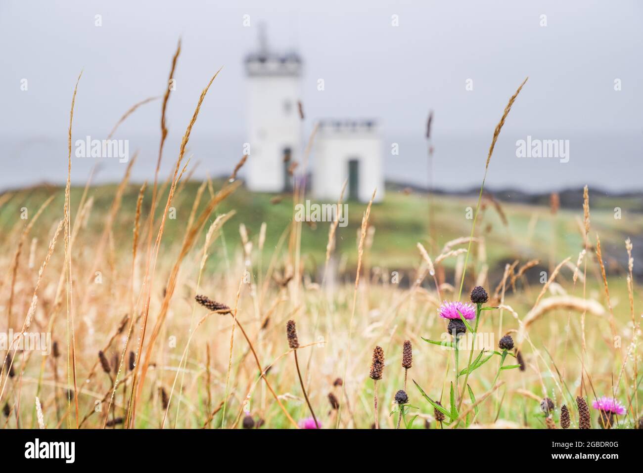 Pretty Elie Ness Lighthouse in Fife - Schottland, Großbritannien Stockfoto