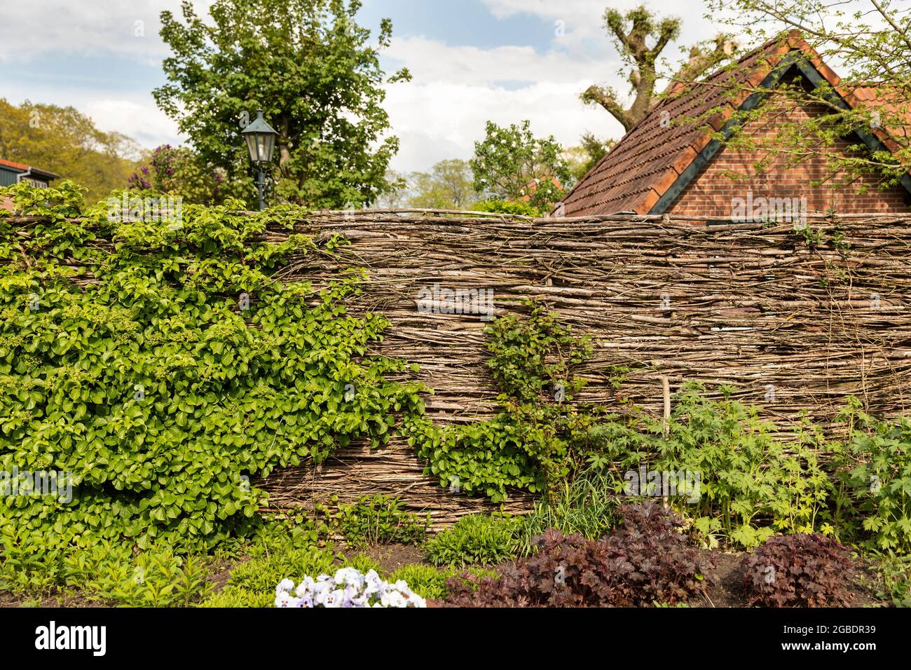 Weidenzaun aus gewebten Ästen und Zweigen, um eine ökologisch nachhaltige Wand in einem Garten zu schaffen, umgeben von wachsenden Pflanzen, Grün, fl Stockfotografie