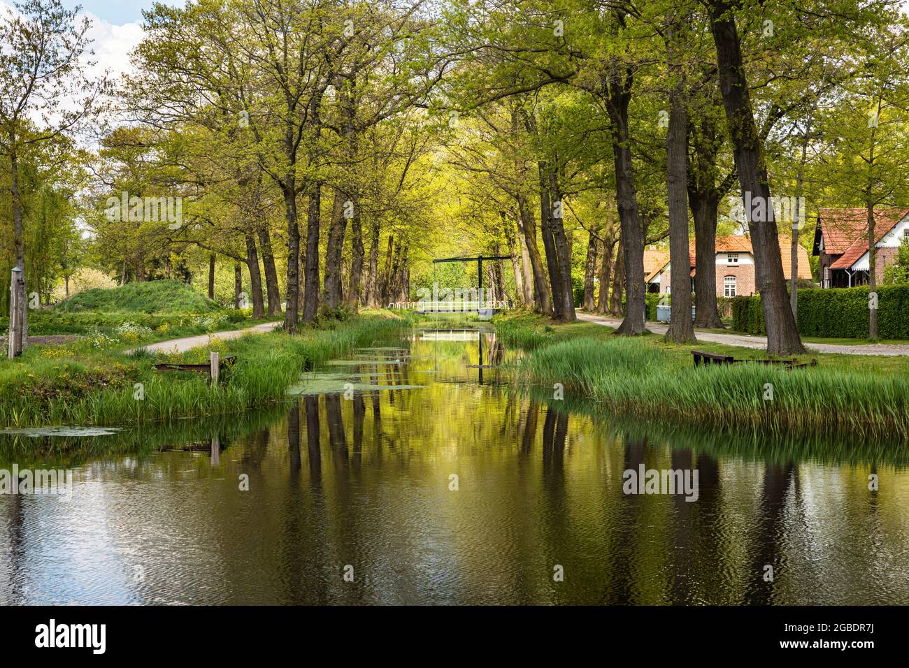 Kanal mit Wasser, umgeben von Gras, Grün und Natur, an einem sonnigen Tag auf einer ruhigen, malerischen holländischen ländlichen Landschaft in Grientsveen, Niederlande Stockfoto