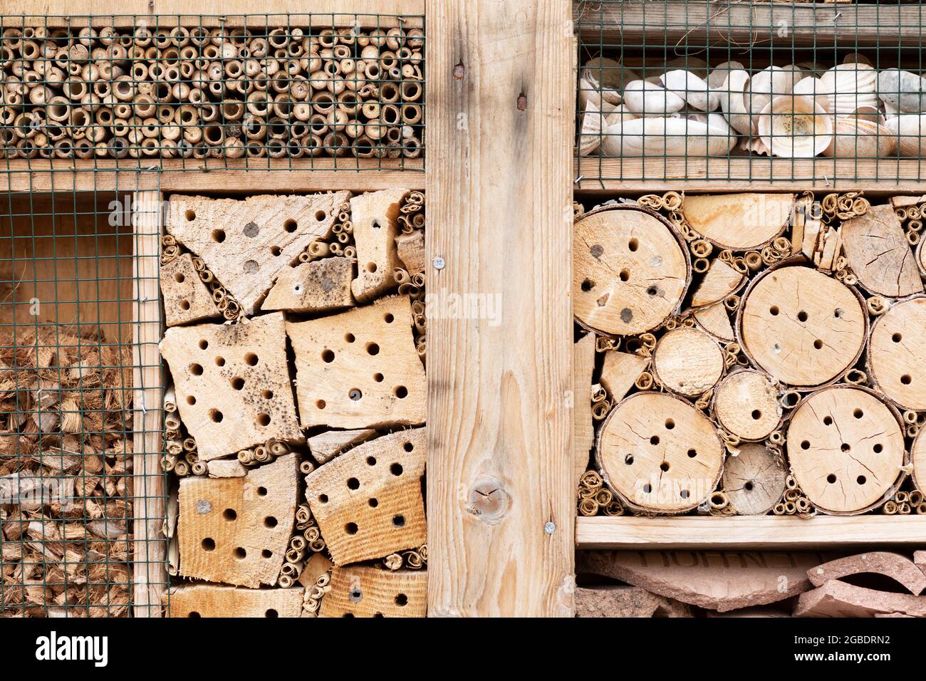 Insektenhotel-Detail aus natürlichem Material wie Holz, Ästen, Bambusstäbchen und Muscheln für eine bessere Artenvielfalt und hilft unserer Natur Stockfoto