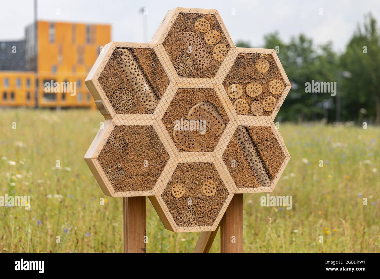 Insektenhotel mit sechseckigen Formen aus natürlichen Materialien wie Holz mit Löchern, Bambusstäbchen und Trinkhalmen für eine bessere Artenvielfalt in Breda Stadt auf einem Stockfoto