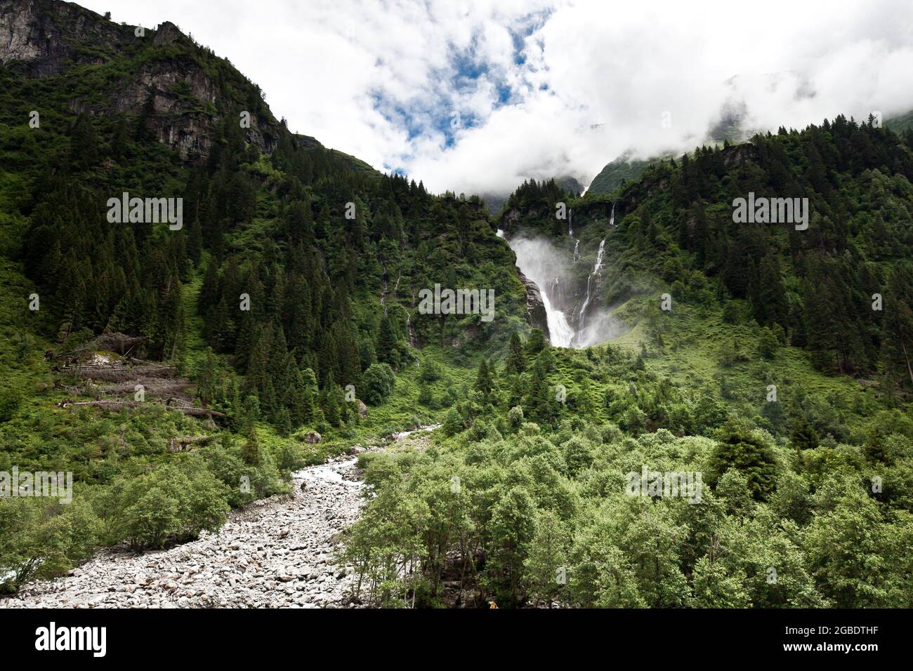 Ein großer Wasserfall in einem Wald Stockfoto
