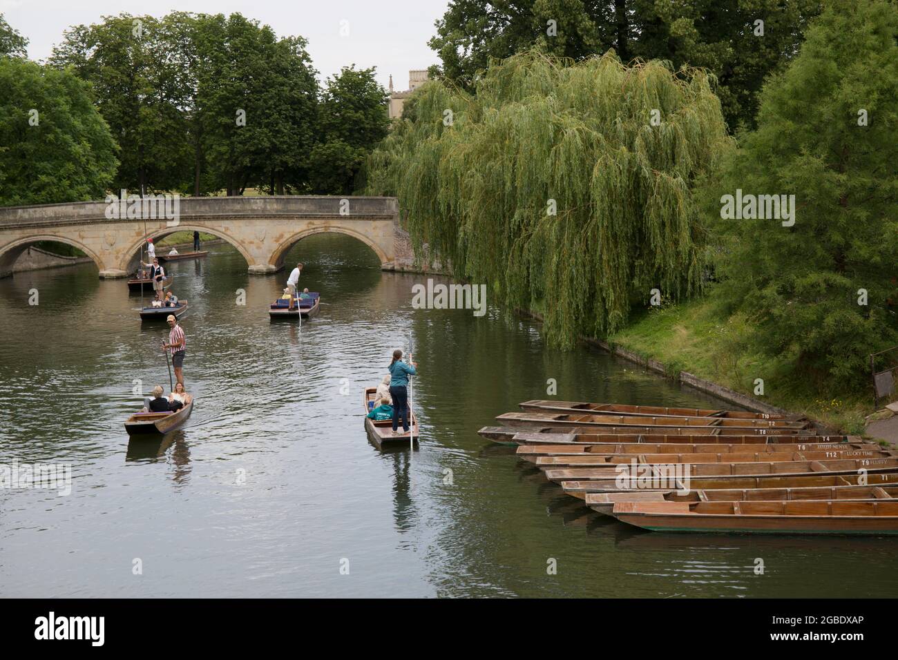 Punts Trinity College Bridge The Backs River Cam Cambridge Stockfoto