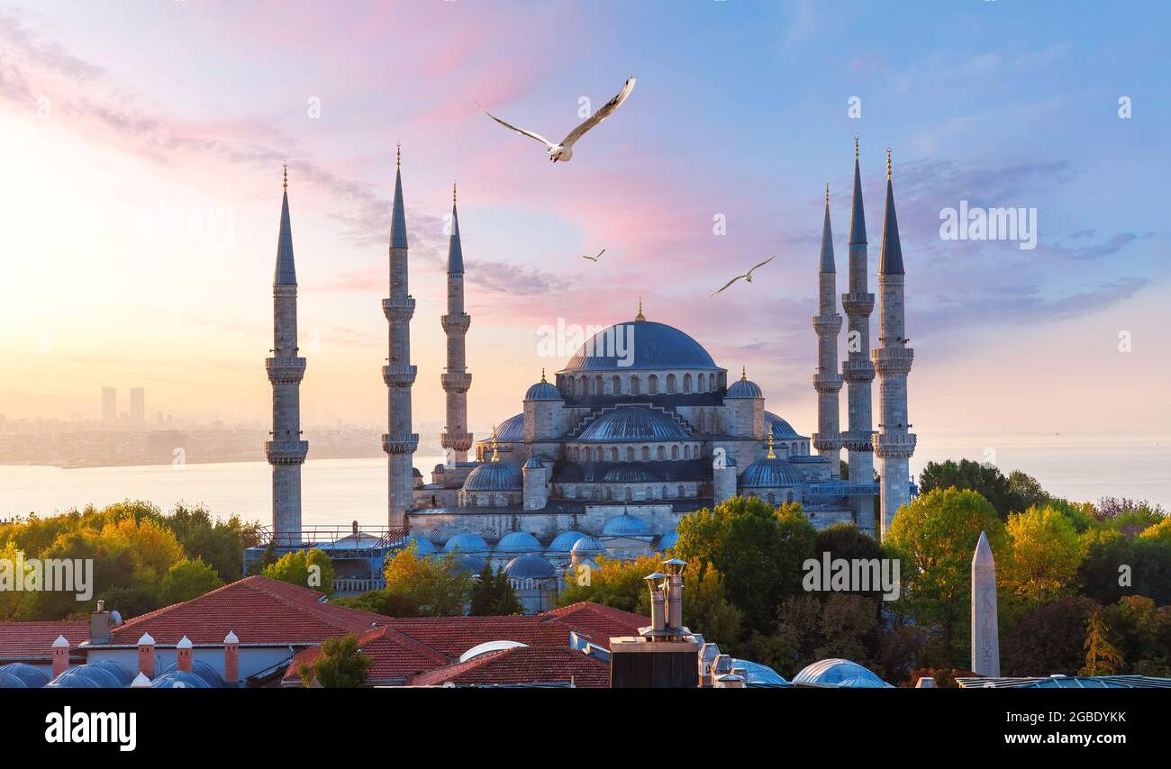 Die Blaue Moschee oder Sultan Ahmet Moschee bei Sonnenaufgang, Istanbul, Türkei. Stockfoto