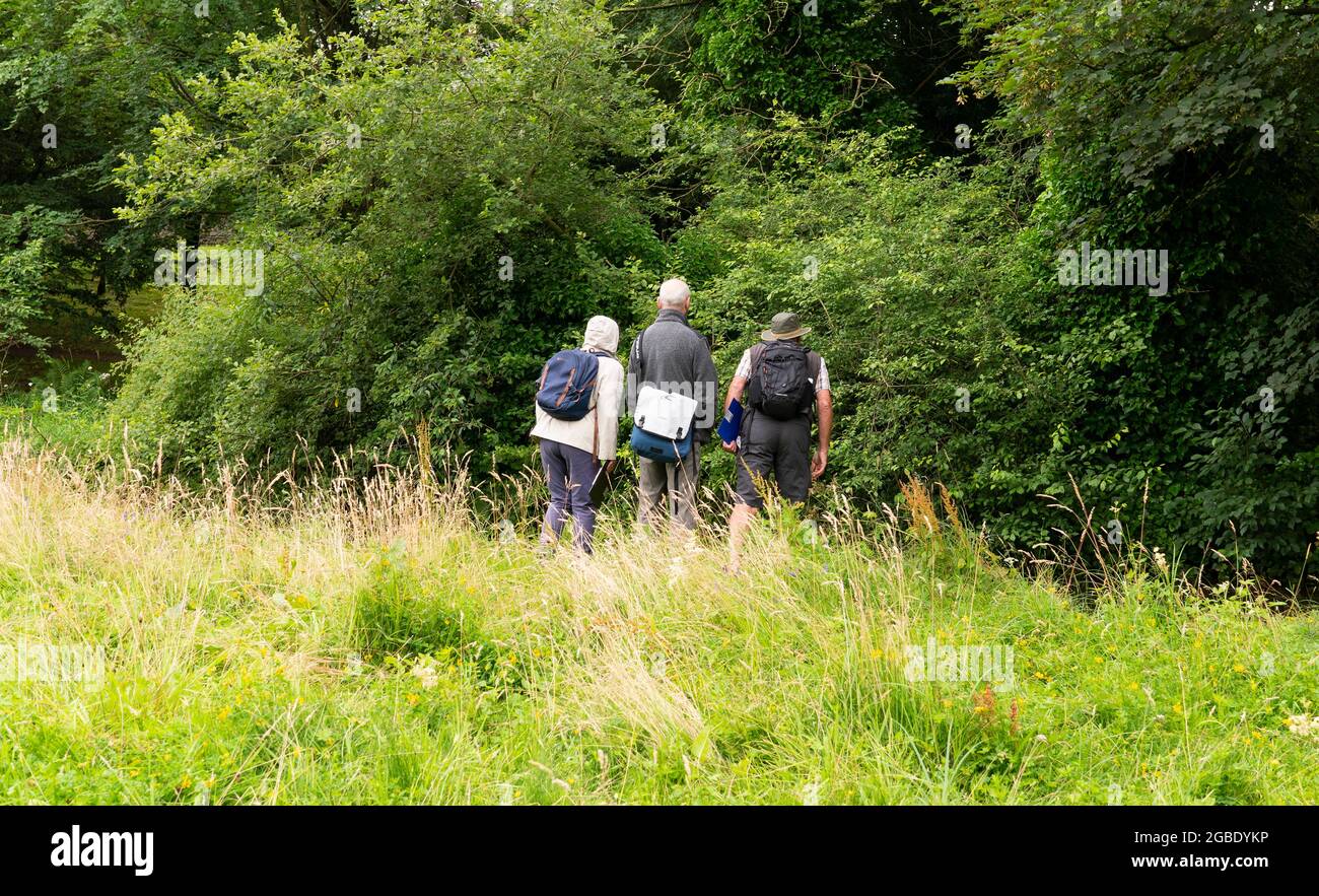 Drei Naturforscher auf einem Feld Stockfoto