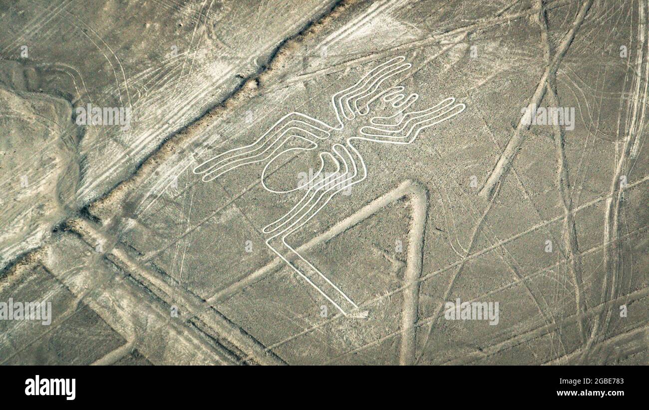 Die Spider Nazca uralte geheimnisvolle Geoglyphe. Nazca-Linien aus der Sicht des Flugzeugs. Nazca-Linien sind Wahrzeichen von Peru Stockfoto