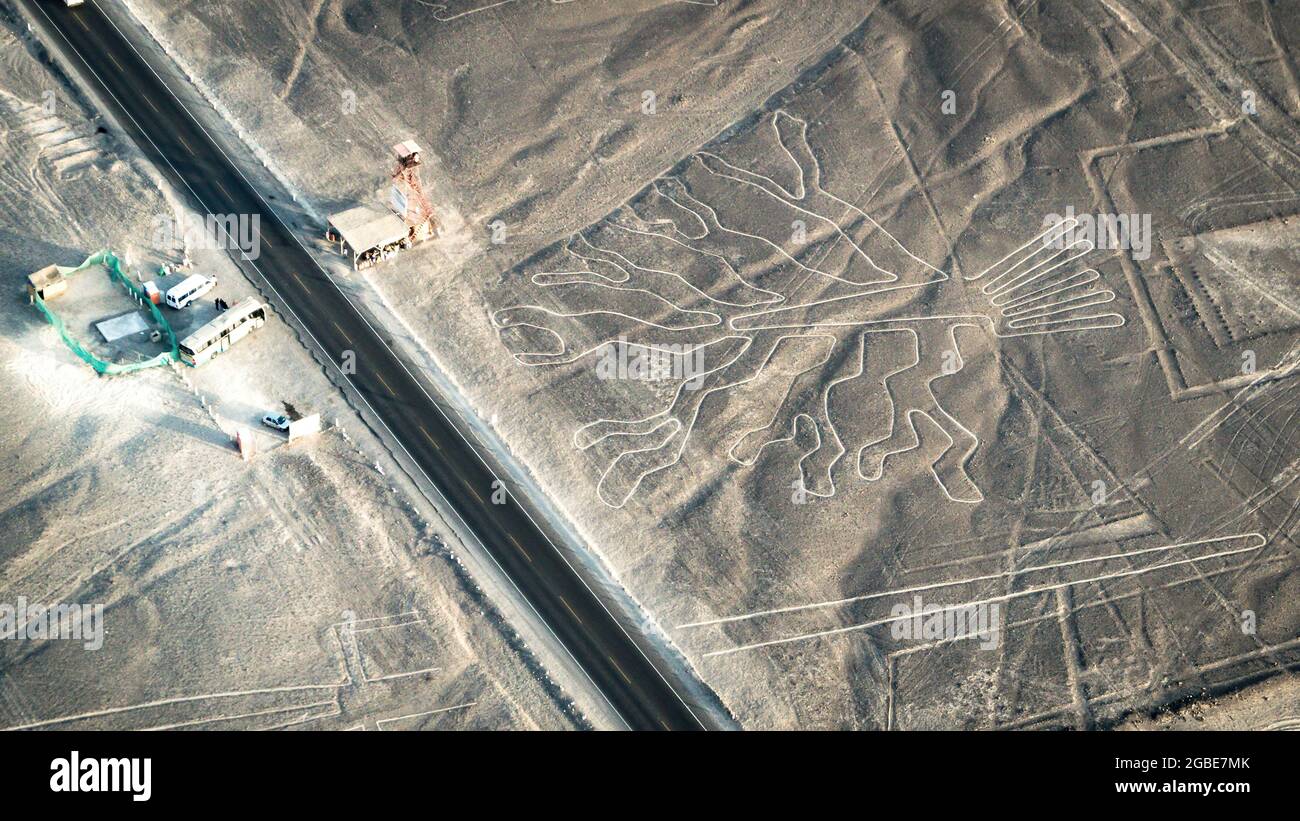 Tree Nazca uralte geheimnisvolle Geoglyphe. Nazca-Linien aus der Sicht des Flugzeugs. Nazca-Linien sind Wahrzeichen von Peru Stockfoto