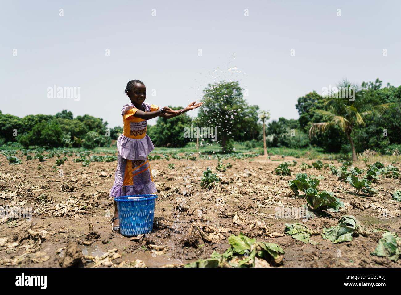 In diesem Bild verschüttet ein angespanntes kleines afrikanisches Mädchen, das in einem fast ausgetrockneten Kohlfeld steht, Wassertropfen über die Sämlinge Stockfoto