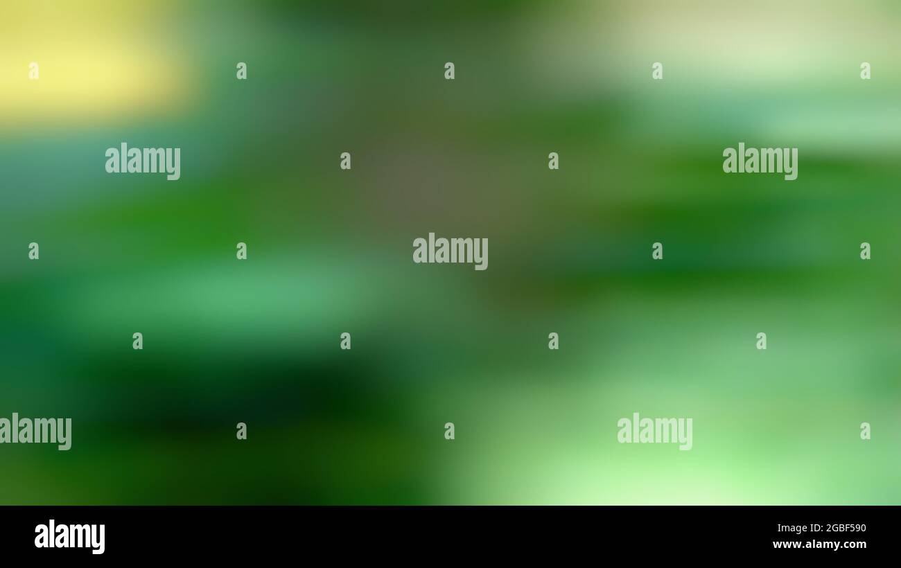 Ein grüner weicher Weichzeichner abstrakt Hintergrund Stockfoto