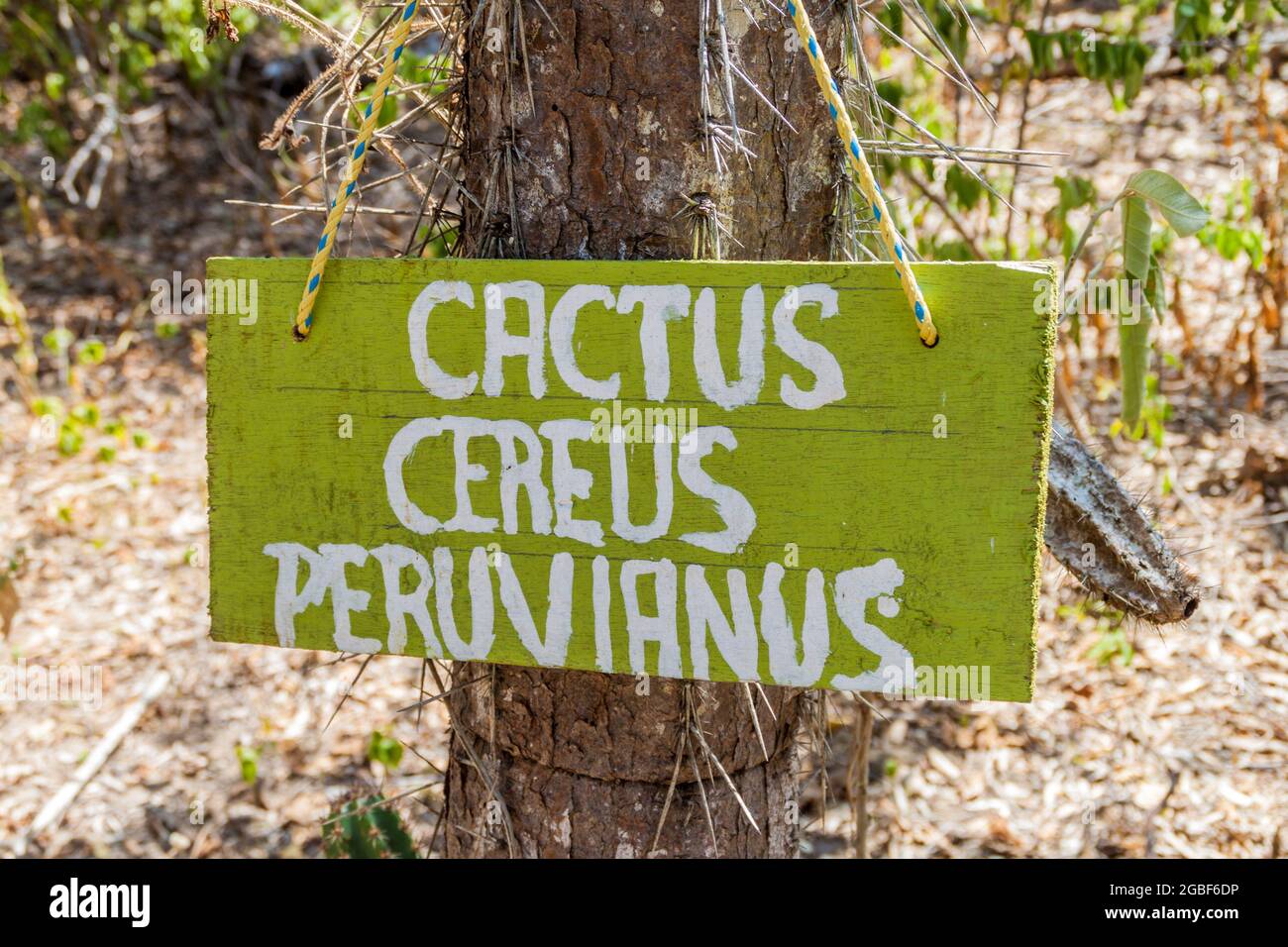Beschreibung Schild in einem trockenen Wald des Machalilla Nationalparks, Ecuador Stockfoto