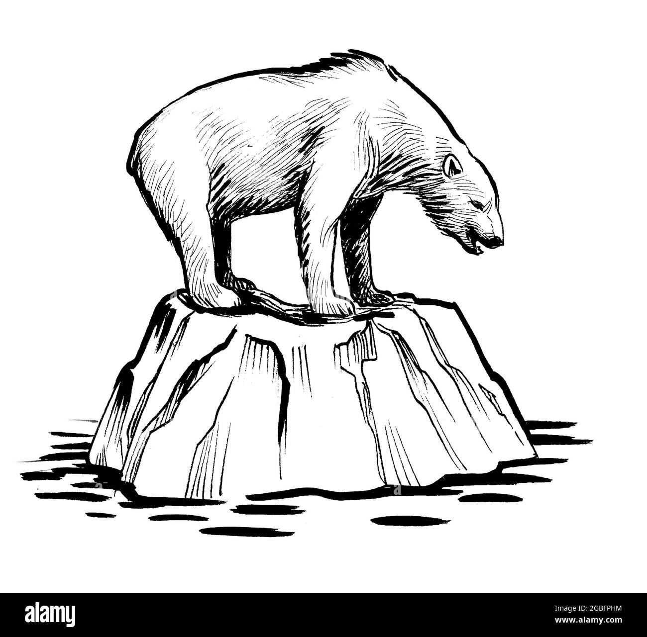 Eisbär auf dem Eisberg. Tinte schwarz-weiß Zeichnung Stockfoto