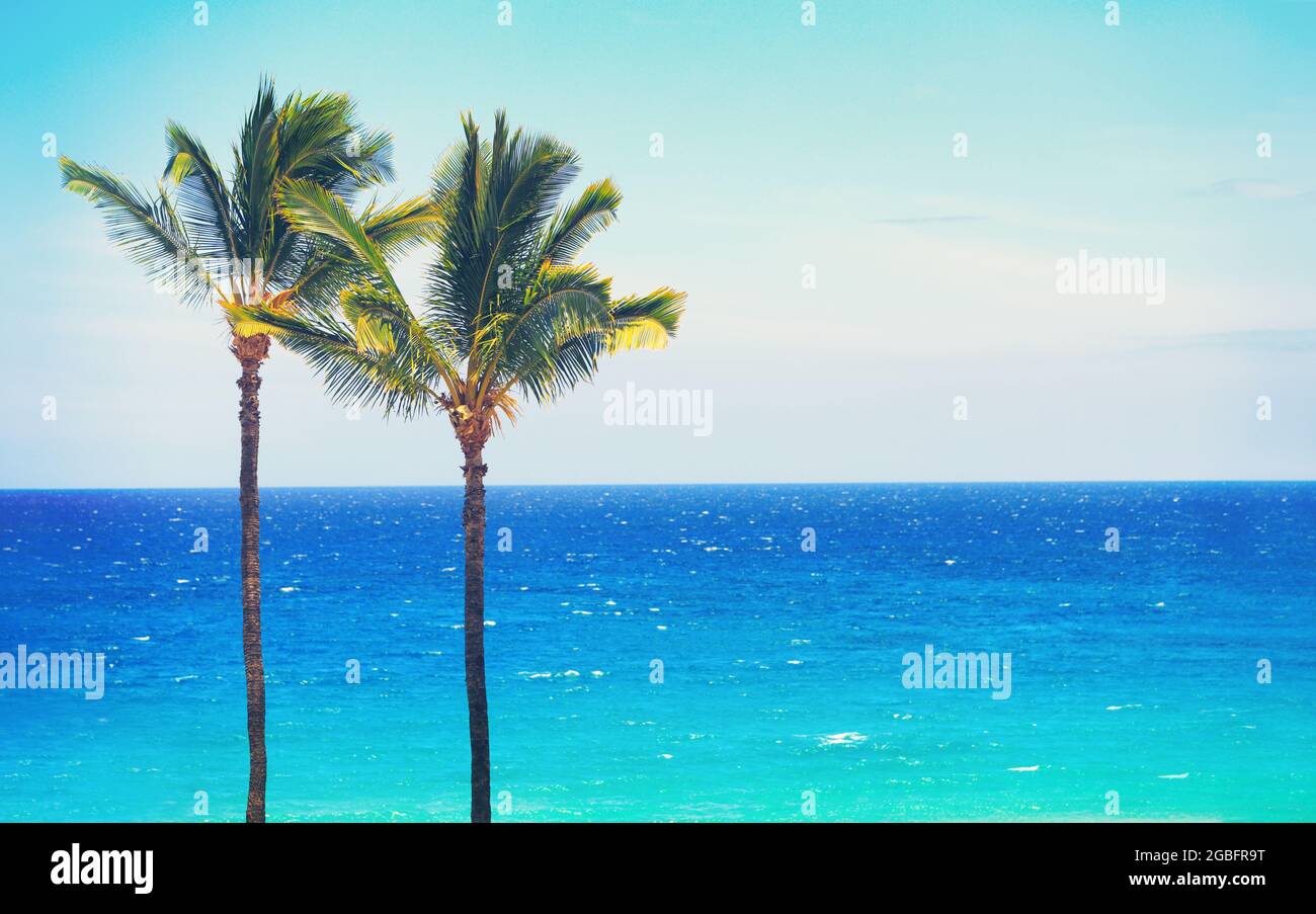 Sommer Strand Reise Urlaub Hintergrund des blauen Ozeans und Palmen Panorama, tropische Karibik Ziel. Horizontal, im Hochformat Stockfoto