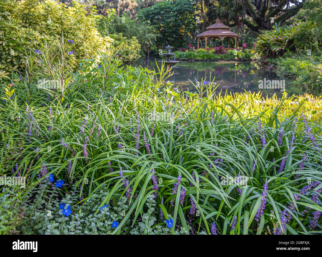Formelle Gärten und Pavillon in der Eichenhängematte im Washington Oaks Gardens State Park in Palm Coast, Florida. (USA) Stockfoto