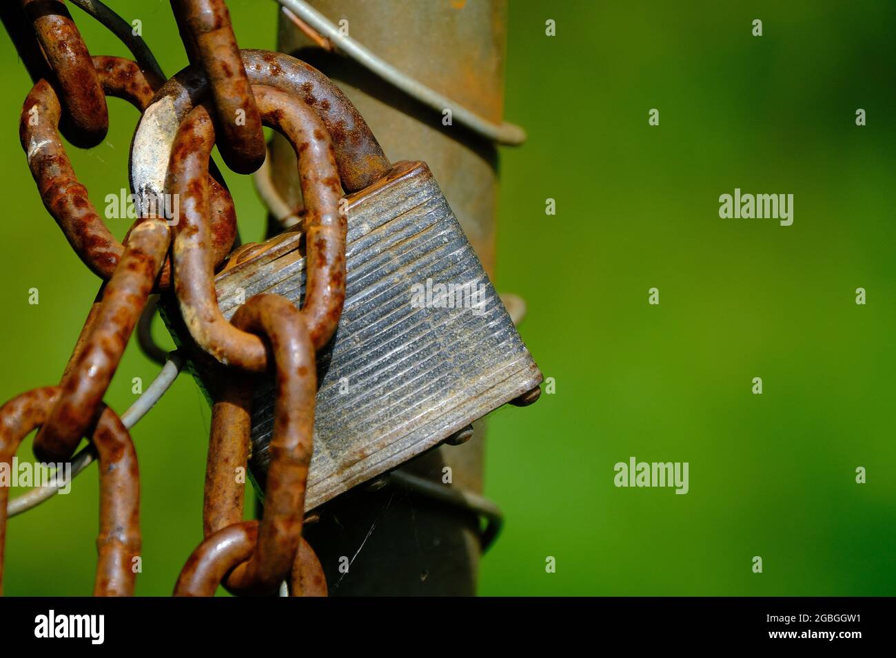 Altes rostetes Vorhängeschloss und Kette, um den Zugang zum Feld über das Tor zu beschränken. Stockfoto