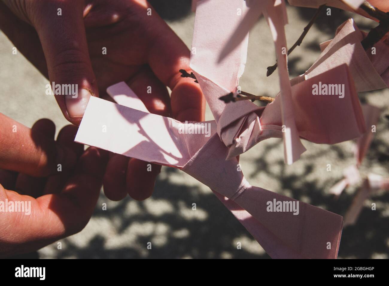 Nahaufnahme der japanischen Papiergebete Omikuji an Baum gebunden Stockfoto