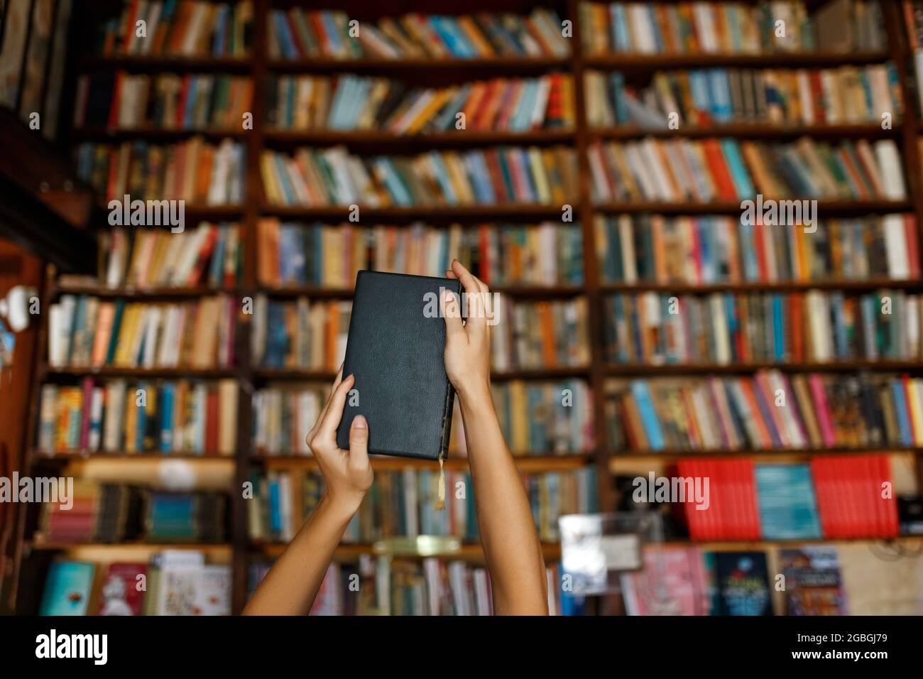 Junge Studentin Studie in der Bibliothek mit Buch , Bildungskonzept. Stockfoto