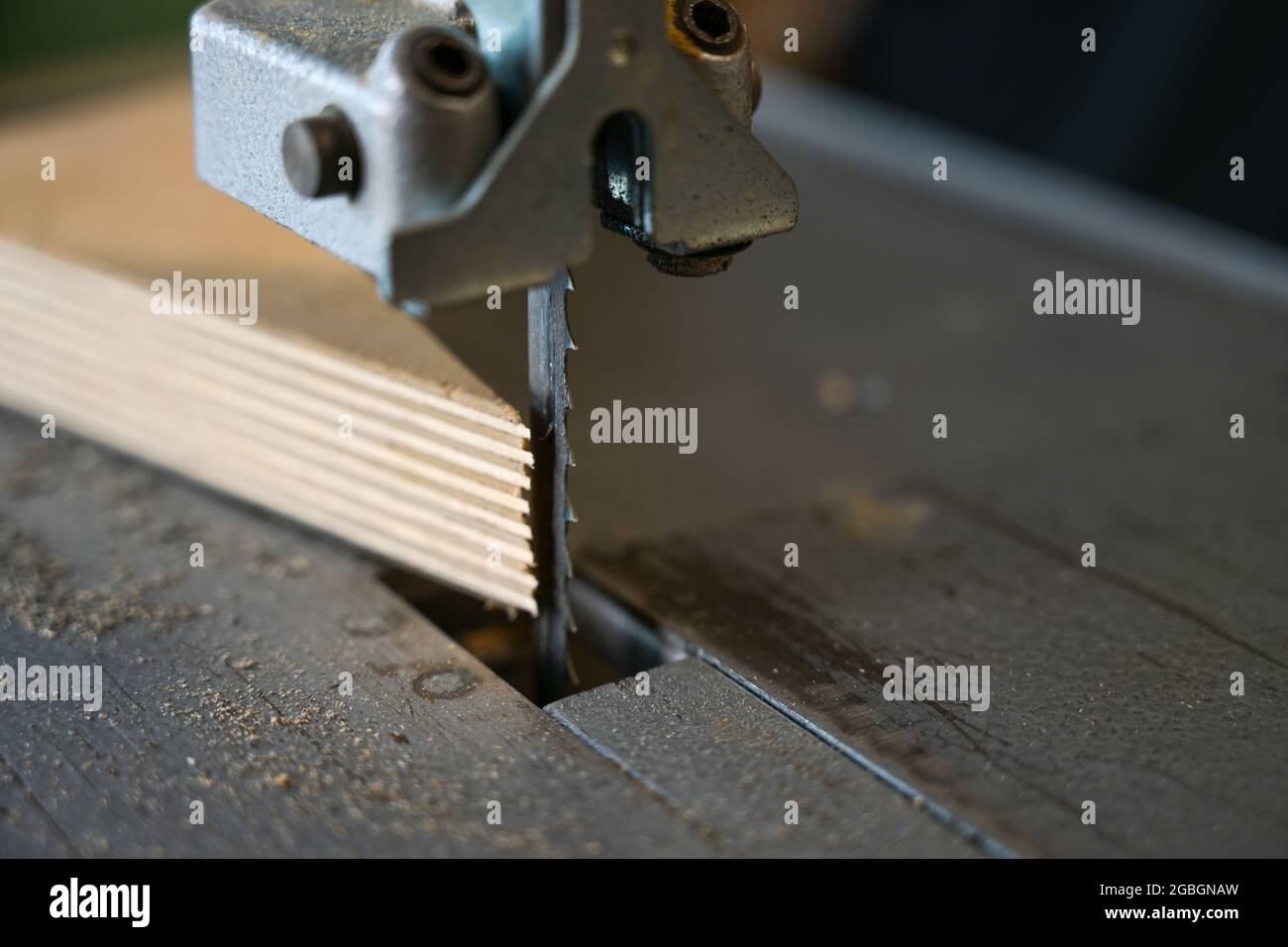 Detail des Sägeblatts einer elektrischen Bandsäge und einer Multiplex-Holzplatte in einer Werkstatt, Kopierraum, Nahaufnahme mit ausgewähltem Fokus, sehr enge Tiefe o Stockfoto