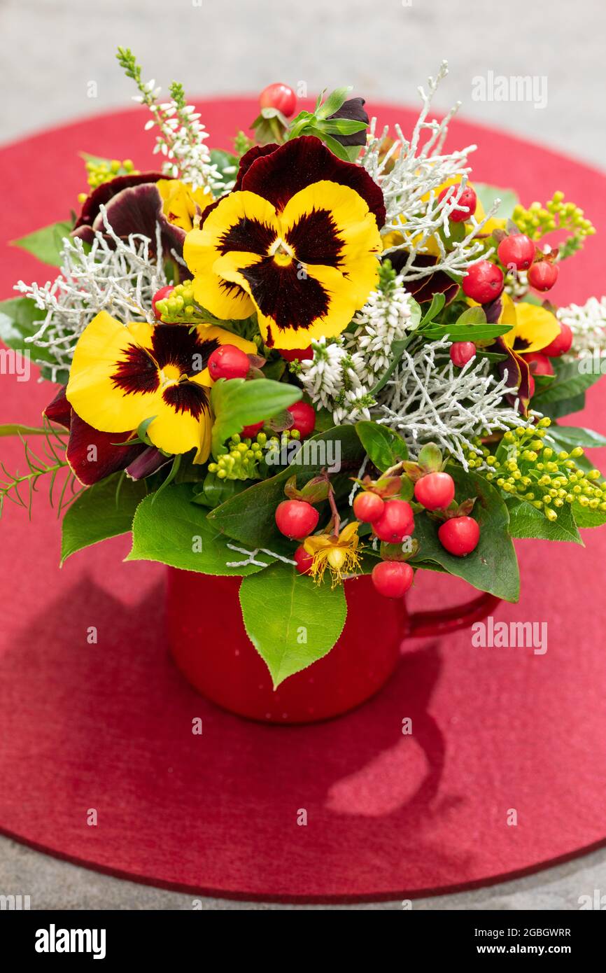 botanik, Blumenarrangement mit Stiefmütterchen, Calluna vulgaris, ZUR GRUSSKARTEN-/POSTKARTENVERWENDUNG IN KEIMREDE.C ES KÖNNEN BESTIMMTE EINSCHRÄNKUNGEN GELTEN Stockfoto