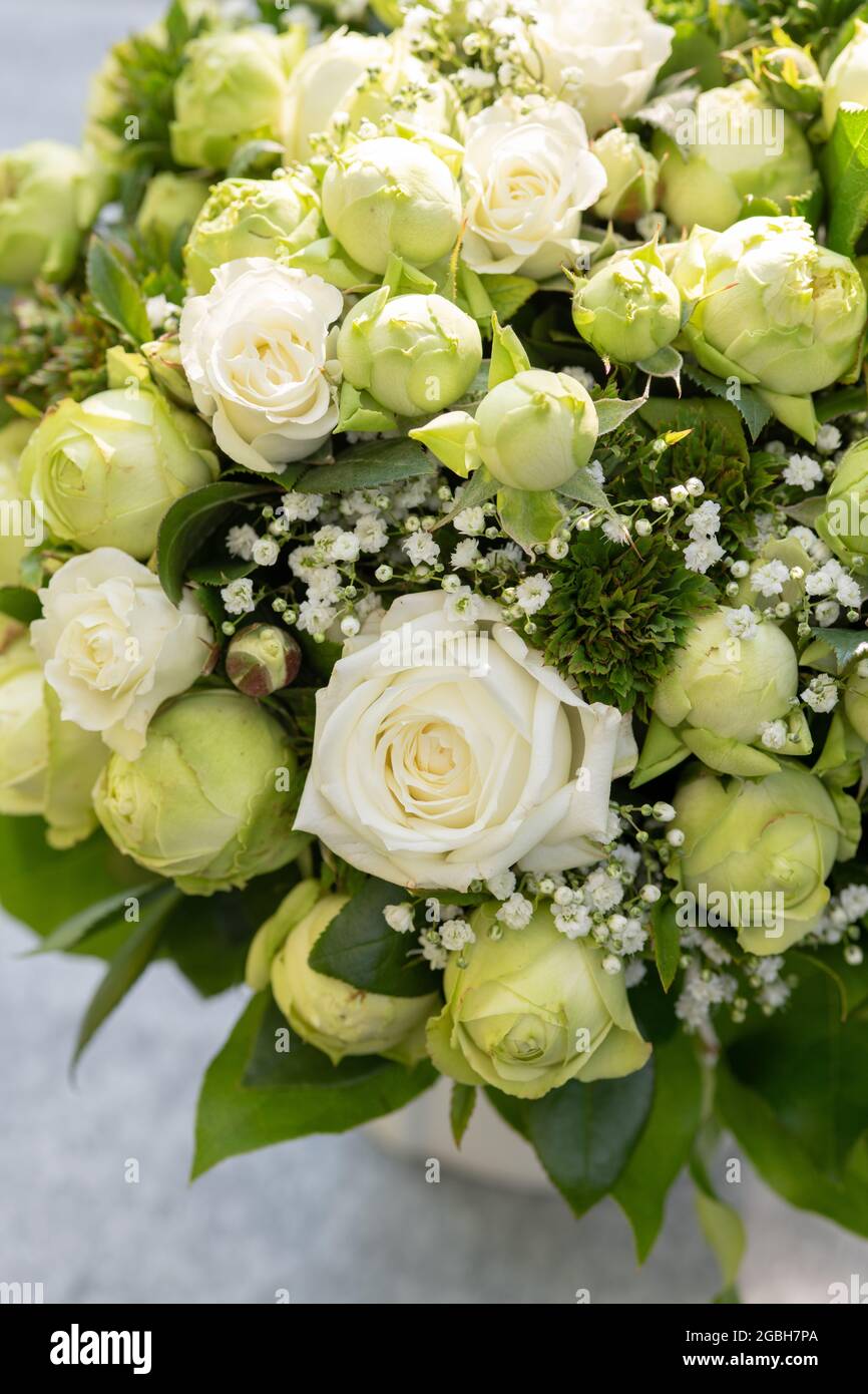 botanik, Blumenstrauß aus weißen Rosen, ZUR GRUSSKARTE/POSTKARTE-VERWENDUNG IN KEIMSPRECHEN.C ES KÖNNEN EINSCHRÄNKUNGEN GELTEN Stockfoto