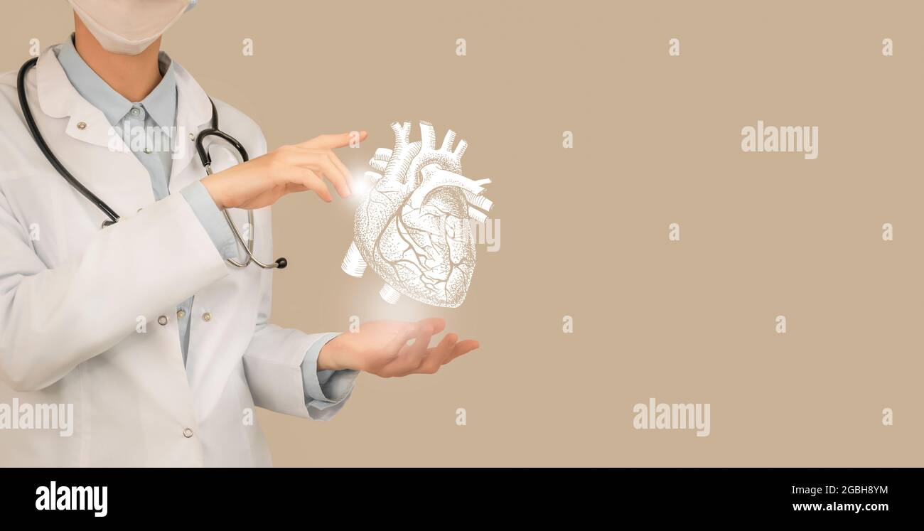 Ärztin hält virtuelle volumetrische Zeichnung des Herzens in der Hand. Handgezeichnetes menschliches Organ, Kopierraum auf der rechten Seite, beige Farbe. Gesundheitswesen Krankenhaus se Stockfoto