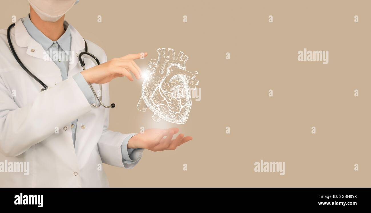 Ärztin hält virtuelle Linie Kunst des Herzens in der Hand. Handgezeichnetes menschliches Organ, Kopierraum auf der rechten Seite, beige Farbe. Gesundheitswesen Krankenhaus Service con Stockfoto
