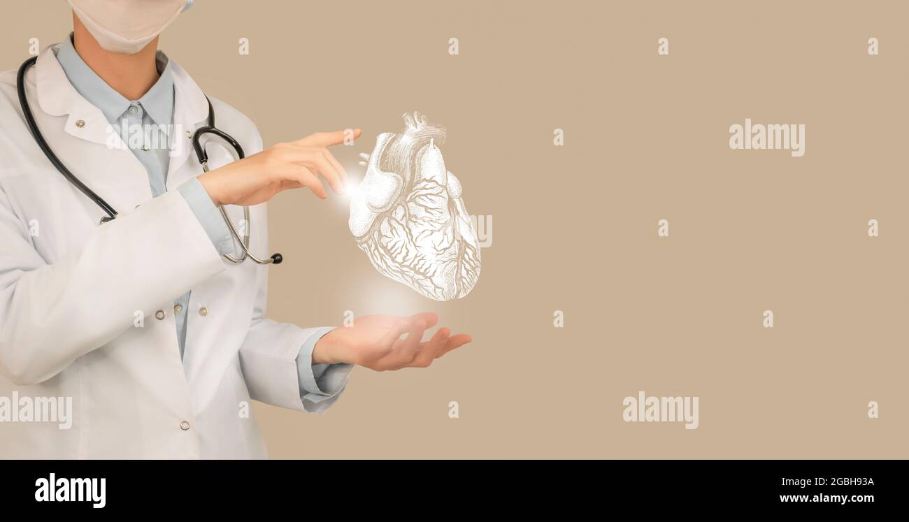 Ärztin hält virtuelle volumetrische Zeichnung des Herzens in der Hand. Handgezeichnetes menschliches Organ, Kopierraum auf der rechten Seite, beige Farbe. Gesundheitswesen Krankenhaus se Stockfoto