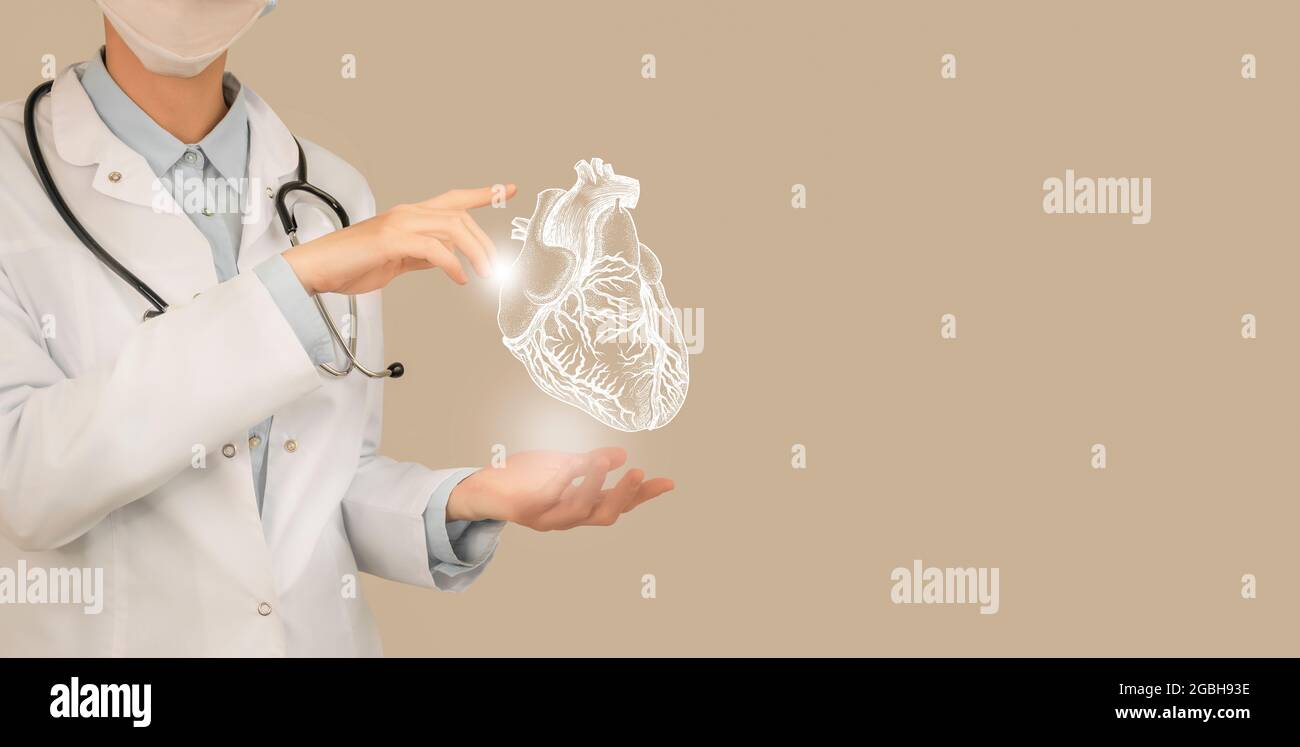 Ärztin hält virtuelle Linie Kunst des Herzens in der Hand. Handgezeichnetes menschliches Organ, Kopierraum auf der rechten Seite, beige Farbe. Gesundheitswesen Krankenhaus Service con Stockfoto