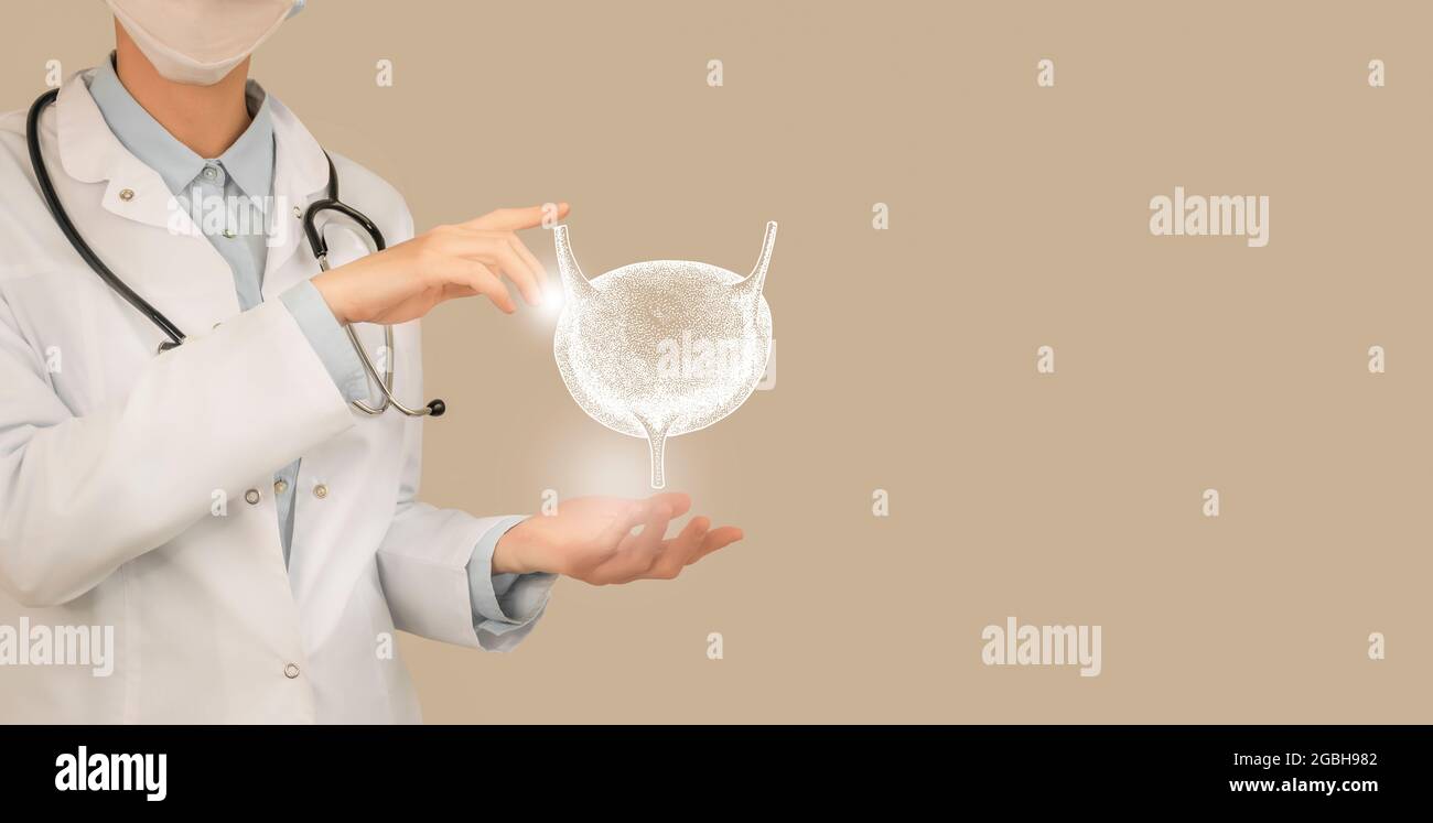 Ärztin hält virtuelle Blase in der Hand. Handgezeichnetes menschliches Organ, Kopierraum auf der rechten Seite, beige Farbe. Bestand des Servicekonzepts des Gesundheitskrankenhauses Stockfoto
