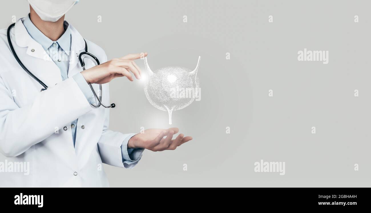 Ärztin hält virtuelle Blase in der Hand. Handgezeichnetes menschliches Organ, Kopierraum auf der rechten Seite, graue hdr-Farbe. Gesundheitswesen / wissenschaftliche Technologien Co Stockfoto