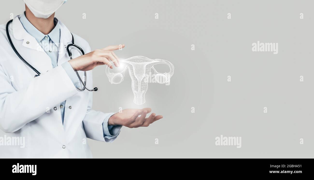 Ärztin mit virtueller Gebärmutter in der Hand. Handgezeichnetes menschliches Organ, Kopierraum auf der rechten Seite, graue hdr-Farbe. Gesundheitswesen / wissenschaftliche Technologien con Stockfoto