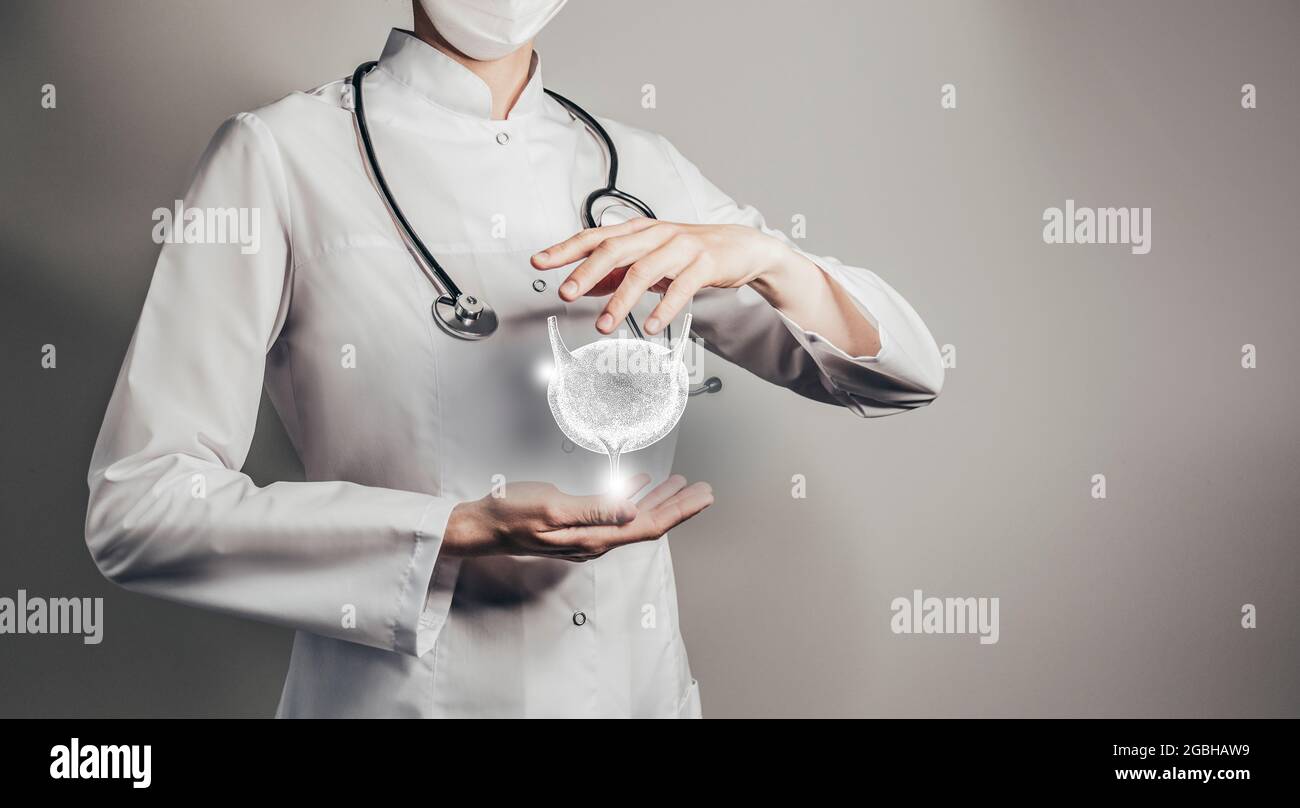 Ärztin hält virtuelle Blase in der Hand. Handgezeichnetes menschliches Organ, Kopierraum auf der rechten Seite, graue hdr-Farbe. Gesundheitswesen / wissenschaftliche Technologien Co Stockfoto