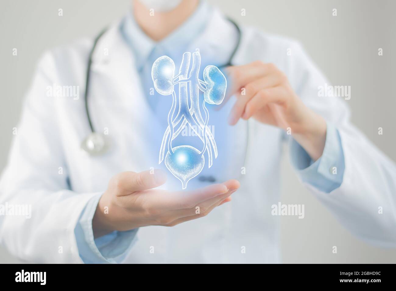 Ärztin hält virtuelle Blase und Nieren in der Hand. Handgezeichnetes menschliches Organ, verschwommenes Foto, rohe Farben. Bestand des Servicekonzepts des Gesundheitskrankenhauses Stockfoto