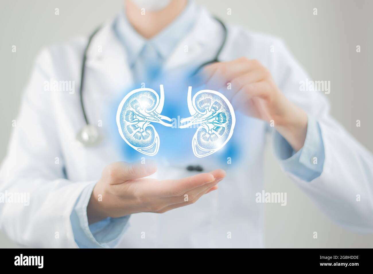 Ärztin hält virtuelle Nieren in der Hand. Handgezeichnetes menschliches Organ, verschwommenes Foto, rohe Farben. Healthcare Krankenhaus Service Konzept Stock Foto Stockfoto
