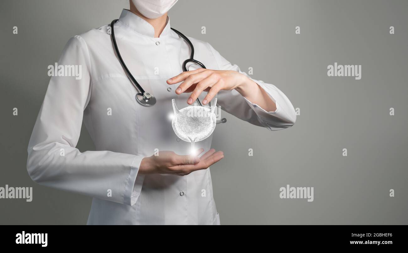 Ärztin hält virtuelle Blase in der Hand. Handgezeichnetes menschliches Organ, Kopierraum auf der rechten Seite, RAW-Fotofarben. Servicekonzept des Gesundheitskrankenhauses Stockfoto